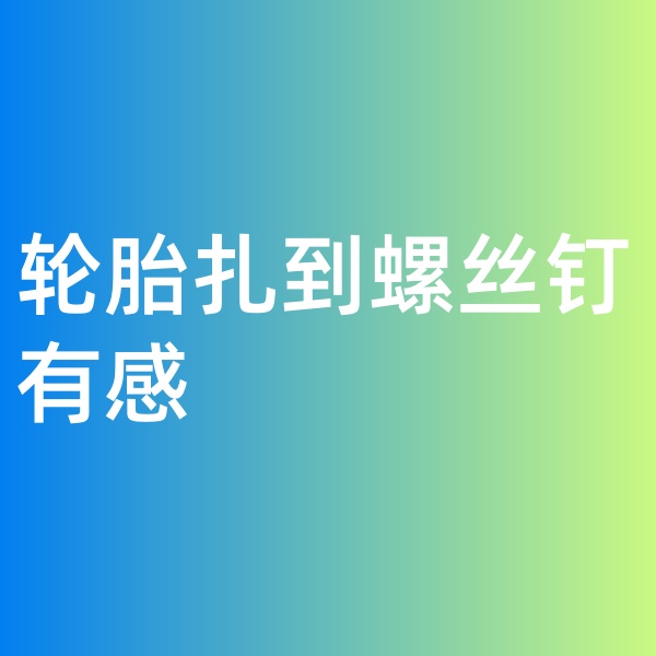 鈀碳回收，輪胎扎到螺絲釘有感