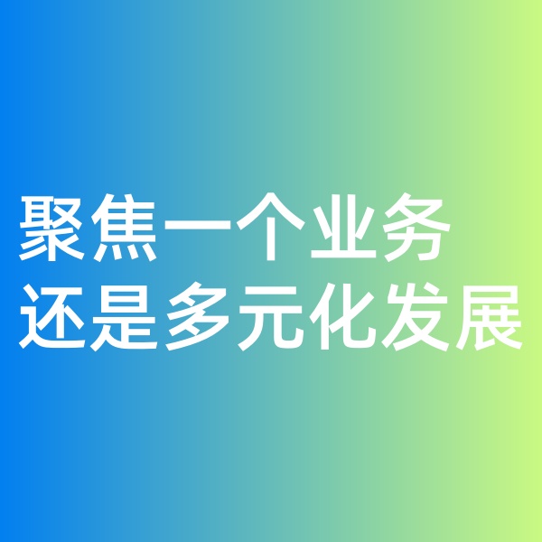 鈀碳回收, 聚焦一個(gè)業(yè)務(wù)，還是多元化發(fā)展